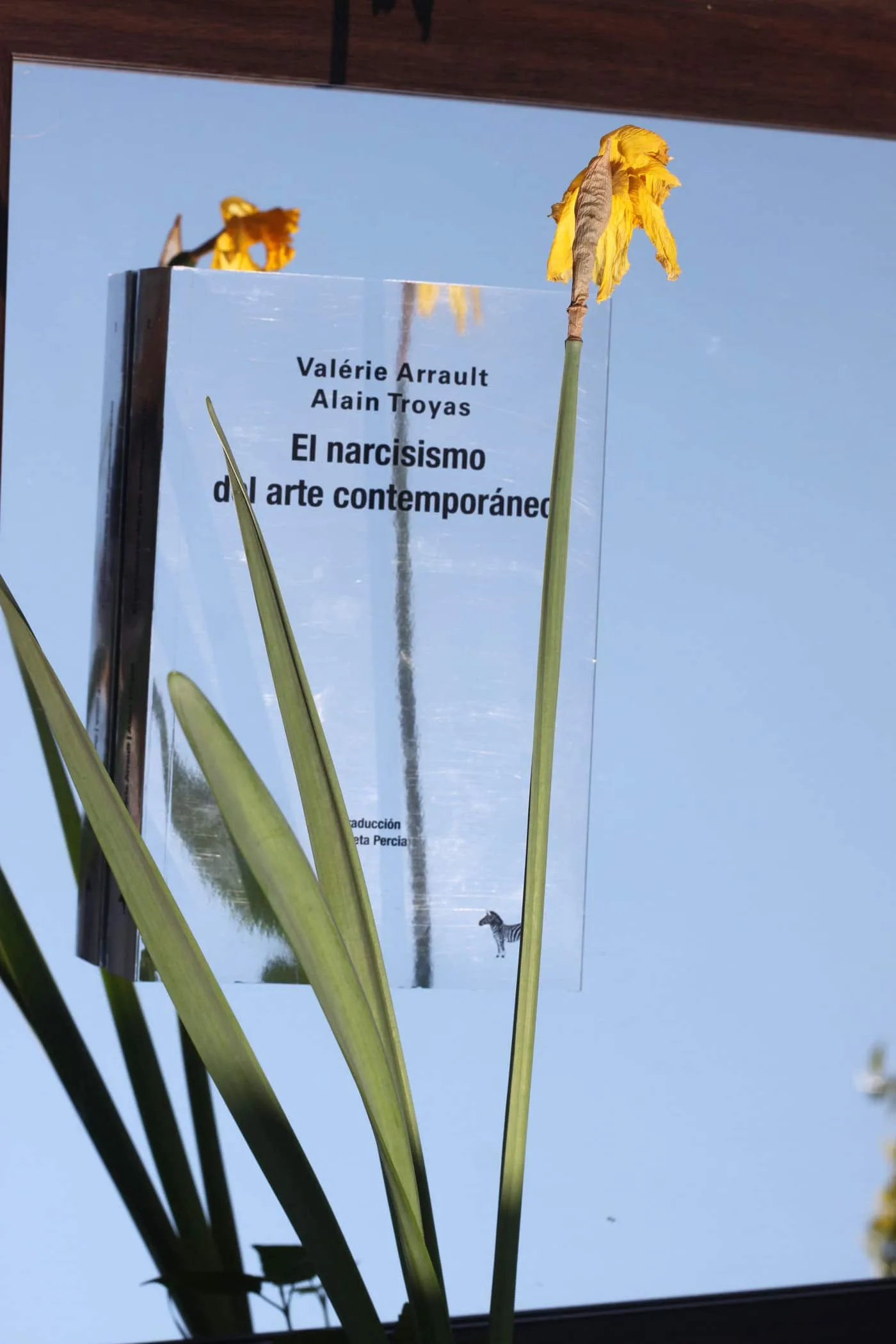 Portada de El narcisismo del arte contemporáneo